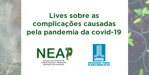 O NEAP e o Colegiado do Curso de Geografia promovem lives em outubro