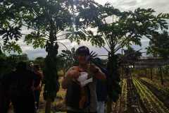 WhatsApp-Image-2026-05-14-at-12.46.00-PM