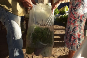 Entrega de sacolões agroecologicos 20/05 