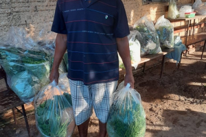 Entrega de sacolões agroecologicos 15/05 