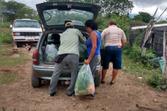 Entrega-de-sacolões-agroecologicos-imagem-10