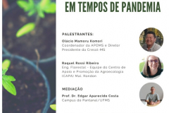 Criatividade no comércio de produtos agroecológicos da agricultura camponesa em tempos de pandemia